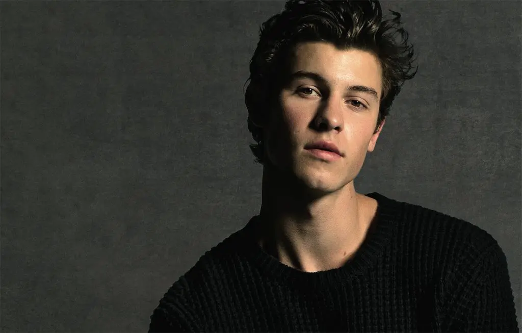 shawn mendes